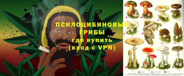 соль курить ск Алзамай