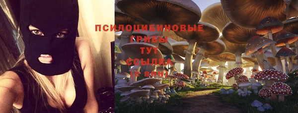 Альфа ПВП Абдулино