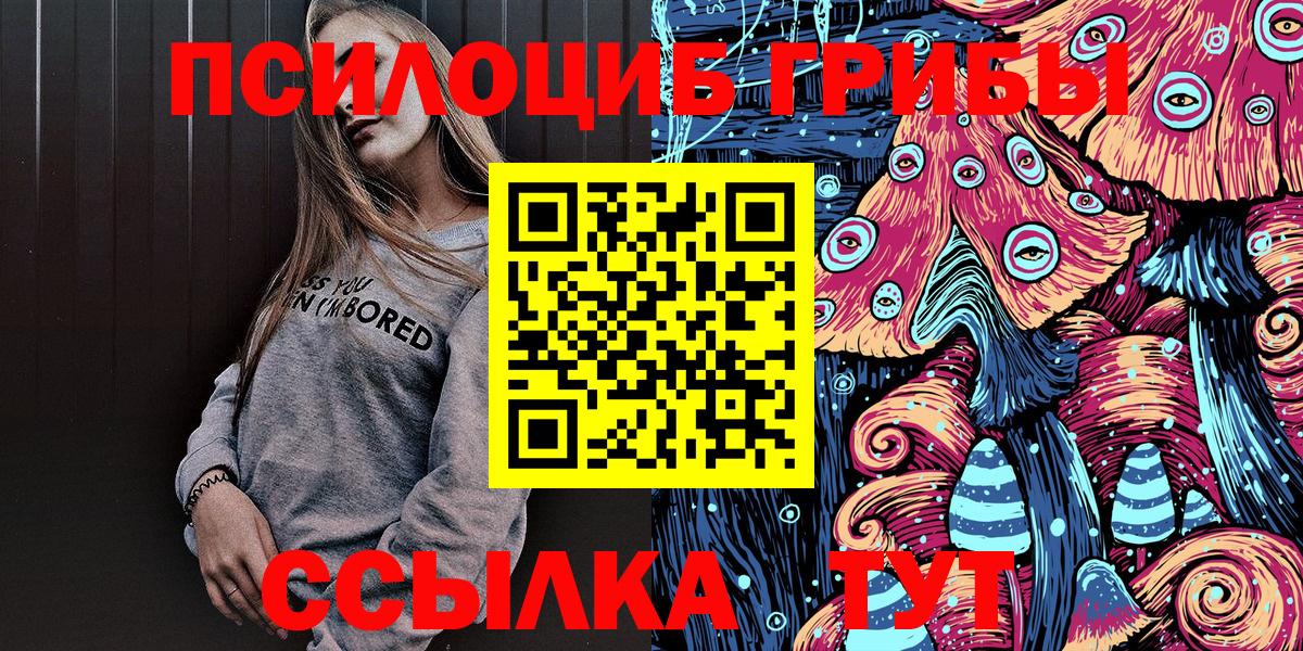 где продают наркотики  Вход с VPN  Курск  Галлюциногенные грибы мицелий 