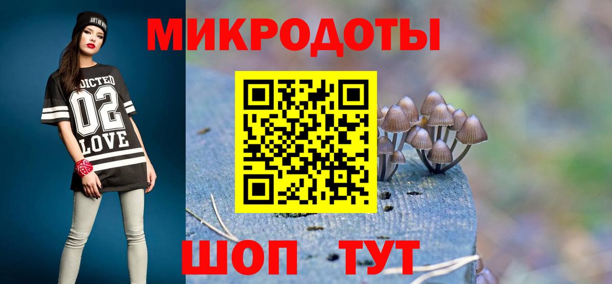 Галлюциногенные грибы Psilocybe Курск